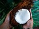 Olej kokosowy – czy rzeczywiście jest niezbędny?